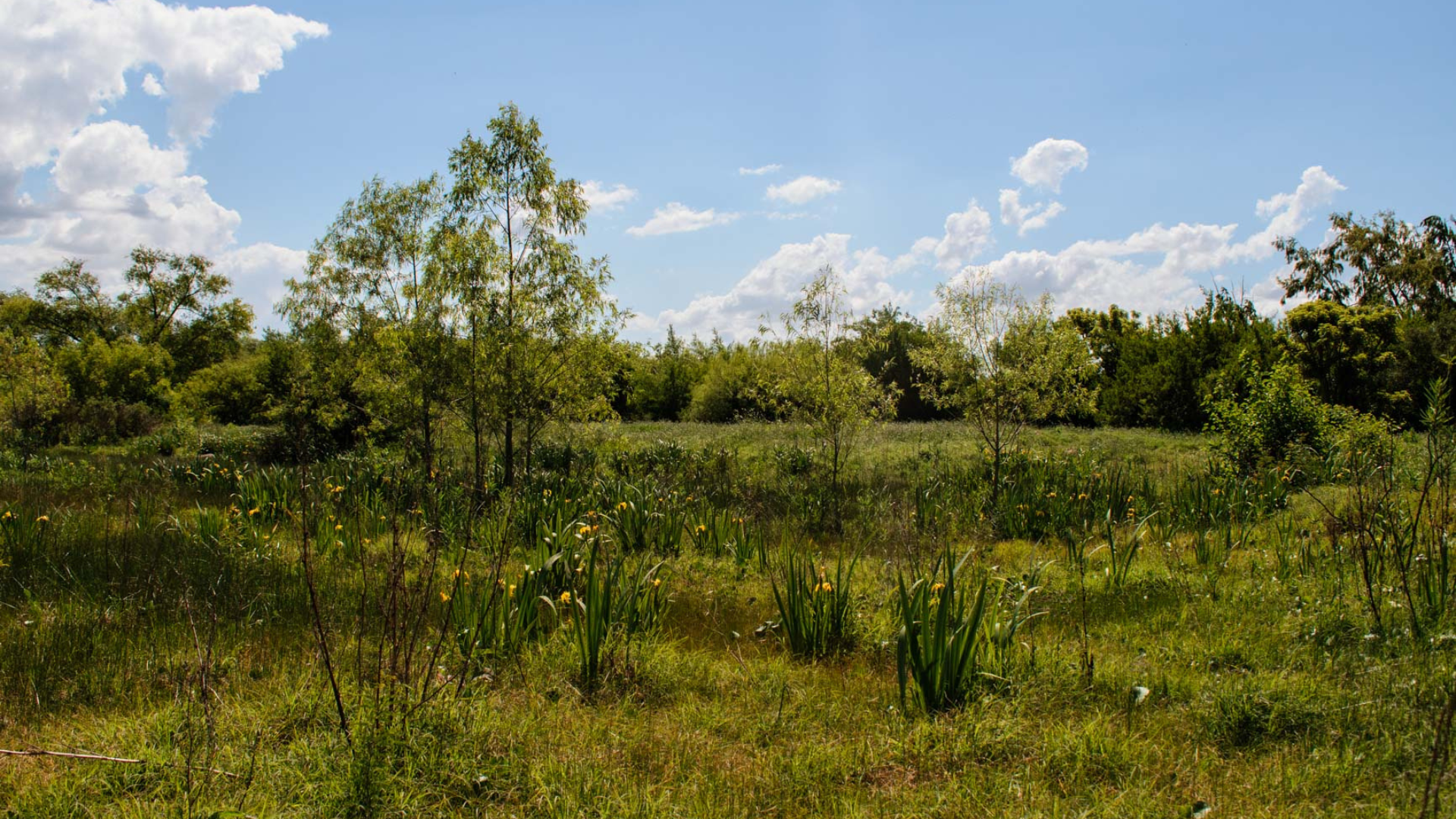 Diseño sin título (5)